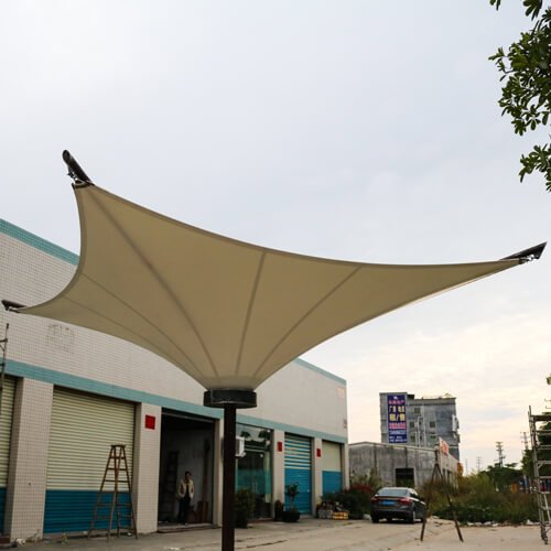 Inverted Conic Umbrella & Tulip Canopy Shade