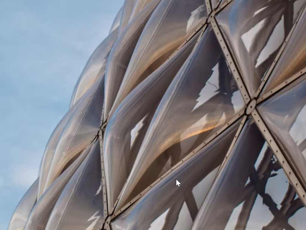 ETFE Cushion